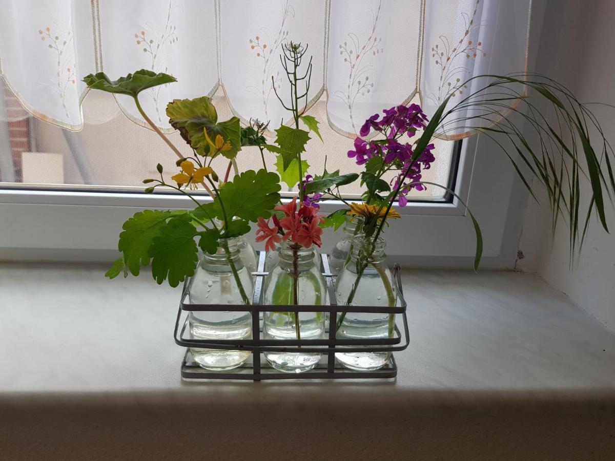 טאלה Ferienwohnung Burgenblick מראה חיצוני תמונה
