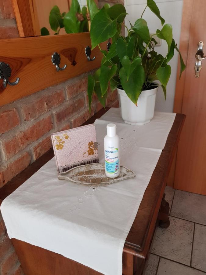 טאלה Ferienwohnung Burgenblick מראה חיצוני תמונה